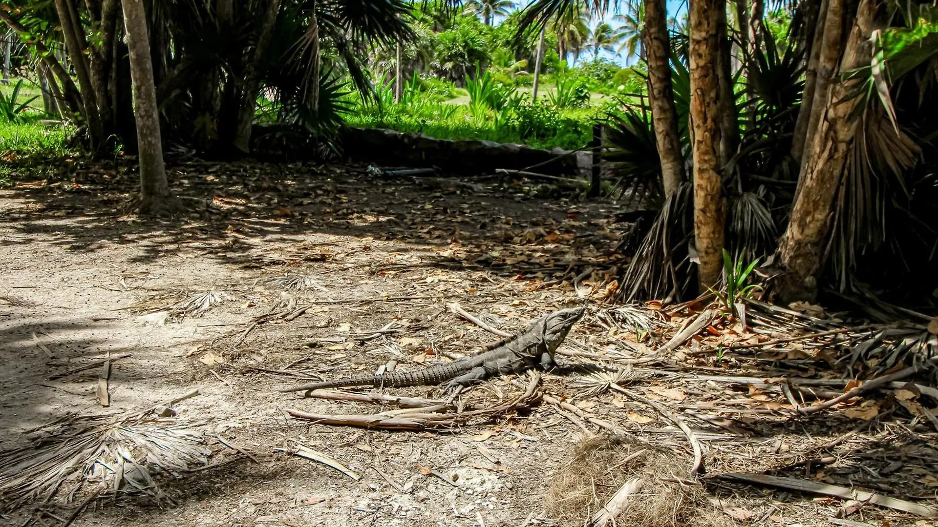 Miraluna B223 At Luum Zama Tulum 0*,  Mexico