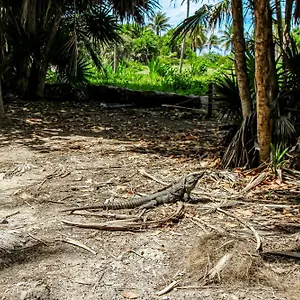Giada Towers A204 Tulum